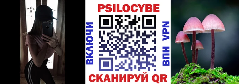 Галлюциногенные грибы прущие грибы  hydra маркетплейс  Чадан  цена наркотик 